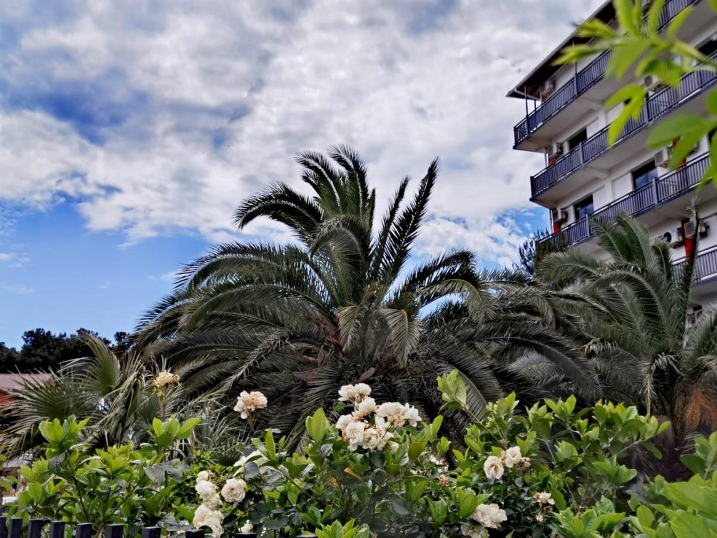 Абхазии нужны русские: как республика планирует «доить» туристов из России