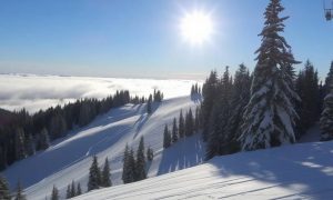 Новый год в Сочи: синоптики рассказали, хорошая ли это идея