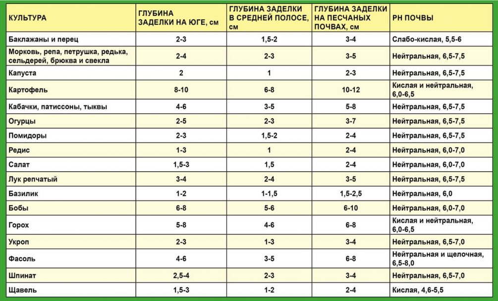 Посевной сезон: раскрываем секреты посадки семян на рассаду