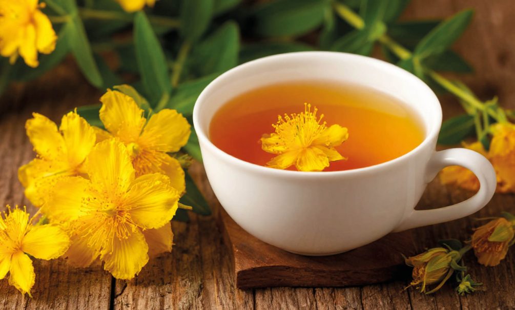 Незапланированная беременность, аритмия, судороги, эпилепсия: виноват зверобой? Незапланированная беременность, аритмия, судороги, эпилепсия: виноват зверобой?