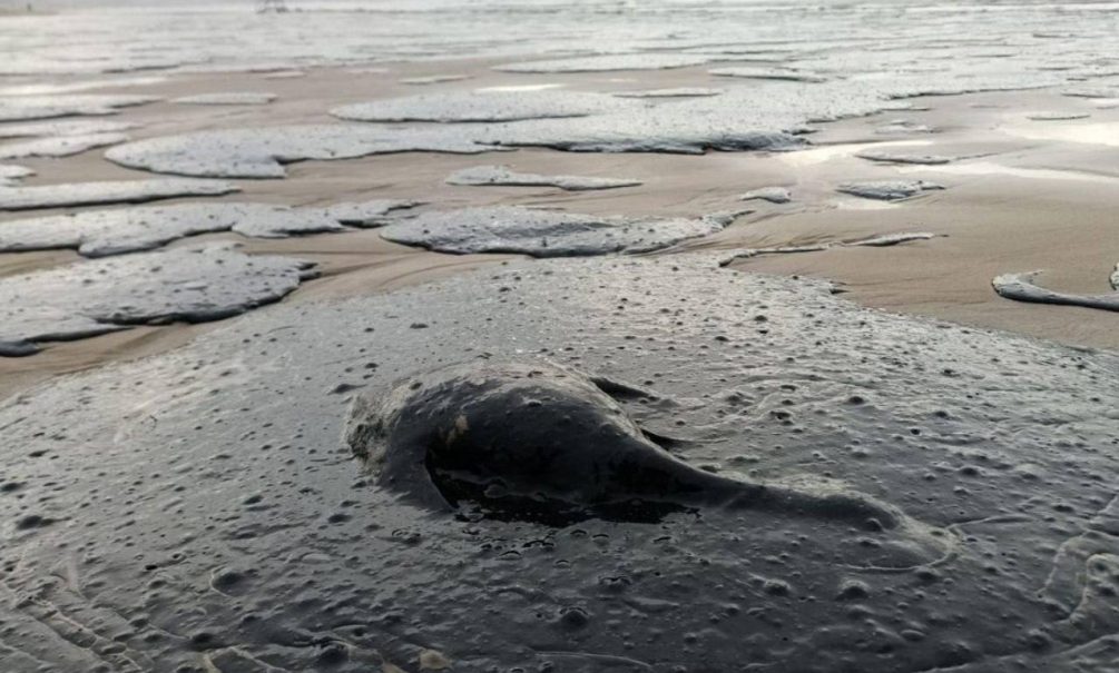 Вода в Черном море будет отравлена? Эколог развеял миф об опасности разлива мазута 