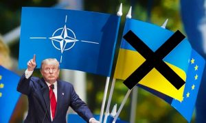 Трамп: «Россия может многое уступить, лишь бы Украина не вошла в НАТО»