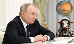 Путин: «Долетит ли корова до Марса?» - так тебе, Илон Маск!