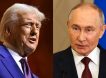 Трамп просит Путина пощадить солдат ВСУ в Курской области: надо ли проявить жест доброй воли