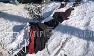 «Найдем зверей и отомстим»: в Курской области обнаружены трупы россиян, замученных бойцами ВСУ