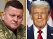 Залужный против Трампа: бывший украинский вояка обвинил президента США в расколе