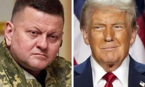 Залужный против Трампа: бывший украинский вояка обвинил президента США в расколе