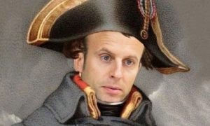 Ваше лягушачество разбушевался: Макрона обвинили в разжигании войны с Россией
