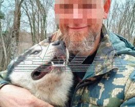 В Сочи хозяин 10 дней не кормил сторожевых собак: сорвались с цепи ...