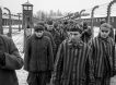 Особый лагерь смерти: ФСБ раскрыла архивы об опытах нацистов над советскими узниками - какая правда открылась 