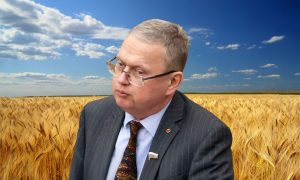 Рекорды на бумаге, кризис на поле: экономист раскрыл чиновничьи манипуляции с цифрами в сельском хозяйстве