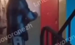 Воронежские подростки довели издевательствами пенсионерку до СК