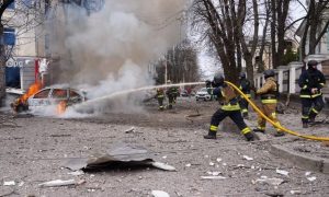 Интересно они там жрут друг друга: обещавшему рассказать 