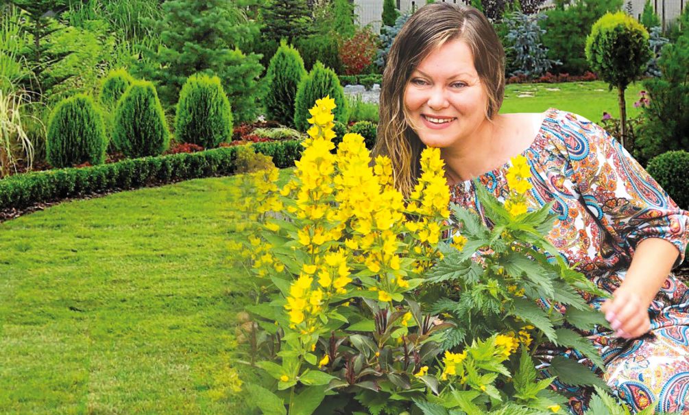 Агроном предупреждает: от этих агрессоров в саду лопатой не отобьешься 
