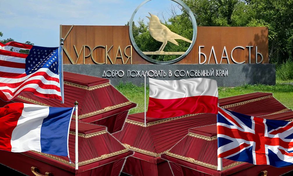 Солдаты неудачи: обнародовали статистику потерь иностранных наемников в Курской области Солдаты неудачи: обнародовали статистику потерь иностранных наемников в Курской области