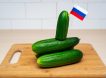 Огуречная угроза: Польша в панике из-за российских овощей — санкции ЕС не работают, Москва снова победила