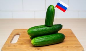 Огуречная угроза: Польша в панике из-за российских овощей — санкции ЕС не работают, Москва снова победила