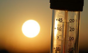 Жара ударит по России: Вильфанд предупредил о кошмарном лете — нас ждут смерчи, засуха и +45