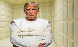 «Биполярка»: в ДНР прокомментировали хамские слова Трампа в адрес Владимира Путина