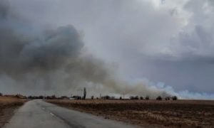 В Астраханской области в результате пожара на птицефабрике сгорело 166 тысяч кур