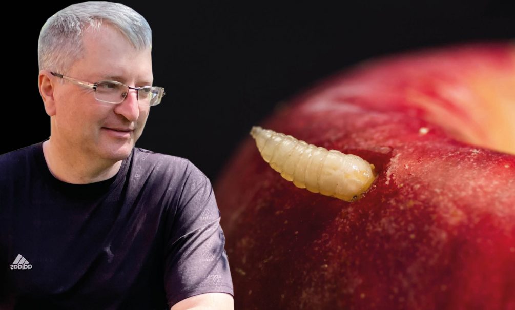 Урожай без червей: что делать, если опоздали опрыскать сад Урожай без червей: что делать, если опоздали опрыскать сад