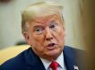 «День расписан, но для Путина я найду время»: зачем Трамп заманивает президента России в Стамбул