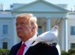 Уже не миротворец: Трампа сделал странное заявление и насмешил россиян