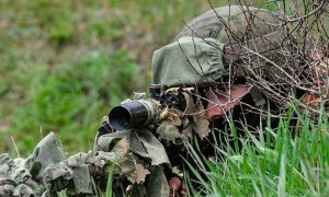 «ВСУ остались гнить в полях Харьковщины»: ВС РФ отразили атаку на Белгород 9 мая