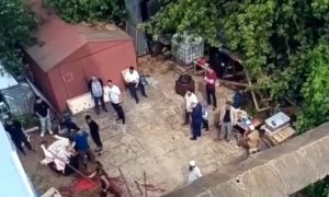 Режут во дворах коров и баранов: мусульмане отмечают Курбан-Байрам – праздник жертвоприношения