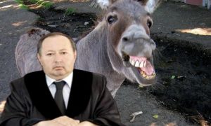 Азербайджанский судья погиб при попытке изнасиловать осла