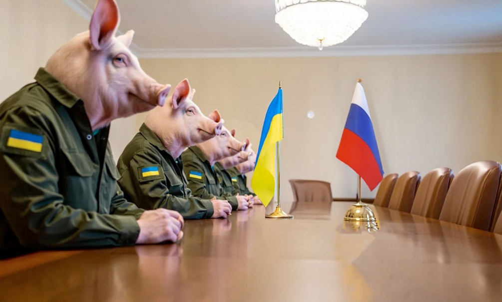 «Посади свинью за стол»: Украина отказалась шить костюмы на переговоры в Стамбуле, нацисты снова тянут время 