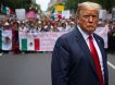 «Это не люди, а животные»: Трамп готов пролить кровь в Калифорнии