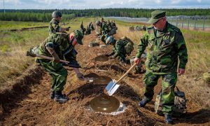 «Новый железный занавес»: Прибалтика хочет усеять минами всю границу с РФ