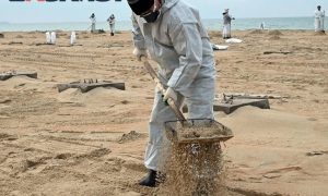 На пляжах Анапы введен временный запрет на купания