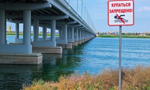 Из-за деятельности браконьеров Цимлянское водохранилище рискует навсегда превратиться в «озеро из зеленого киселя»