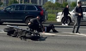 Общество требует жертву — закон на паузе?