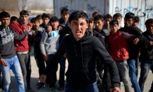 Малолетних детей коренных граждан насилуют уже дети «ценных специалистов». «Канализирование» радикальных мигрантов по формуле Васильева – Асанбаева идет успешно