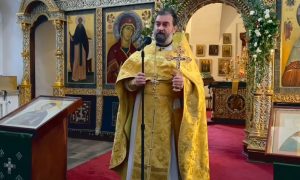 «Женщины стали трусливые и развратные»: священник Ткачев заявил, что русские девушки «не хотят рожать»