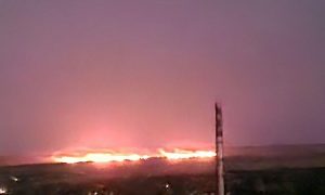 Кинжалы и рой 