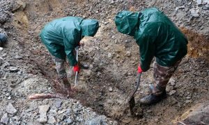 «В обмен на трупы ВСУшников»: мэр Львова выставил мертвых советских солдат на политический торг