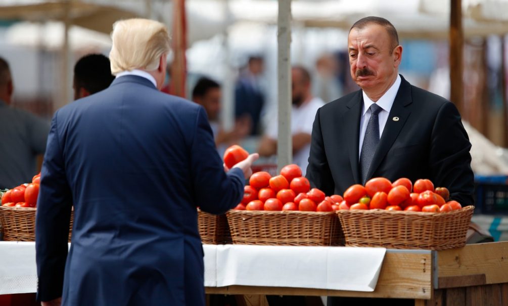 Помидоры Алиева России больше не нужны: в Баку пожаловались, что томаты гниют в полях, но заявили, что их ждут в США 