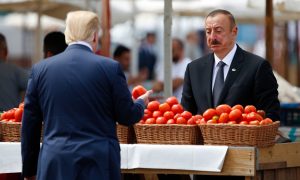 Помидоры Алиева России больше не нужны: в Баку пожаловались, что томаты гниют в полях, но заявили, что их ждут в США