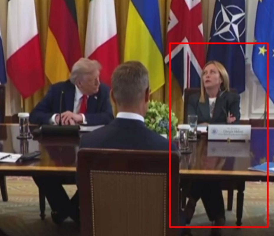 «Они все снюхались»: в сети обсуждают неадекватное поведение итальянского премьера на встрече Зеленского с Трампом