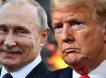 «Жёсткий отлуп»: эксперты расшифровали, как Путин на самом деле ответил Трампу на ультиматум по СВО