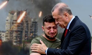 «Дай еще игрушек»: Зеленский нажаловался Эрдогану, после того как ВС РФ уничтожили турецкий завод в Киеве