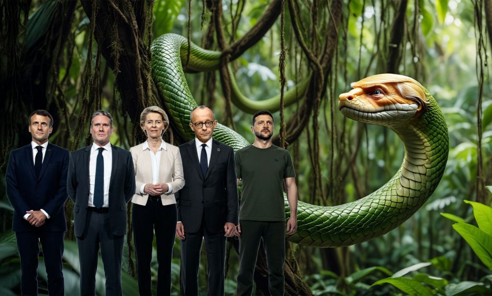 И так три раза: перед встречей с Путиным Трамп «травит» лидеров стран Европы и Зеленского И так три раза: перед встречей с Путиным Трамп «травит» лидеров стран Европы и Зеленского