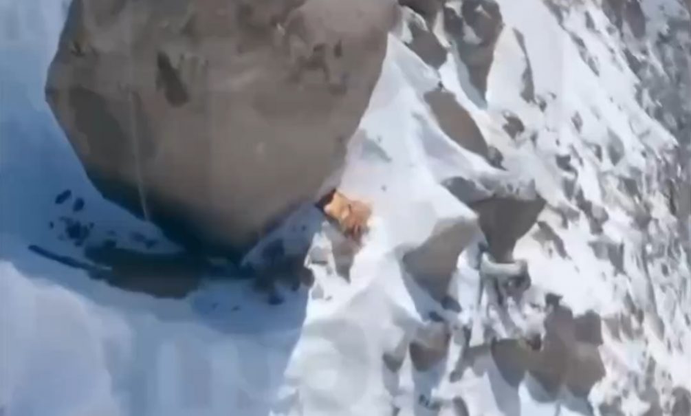 Россиянка уже неделю лежит на пике Победы на высоте 7000 метров с переломанной ногой — попытки ее спасти обернулись смертью спасателя 