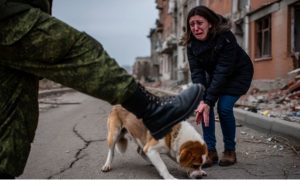 В Приморье военный с женой напали на девушку и избили ее собаку