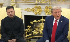 Трамп размазал Зеленского в Белом доме: иллюзии разрушены, на глазах слезы – президент США поддерживает план Путина