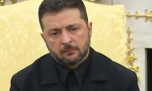 «Путин ждет моего звонка»: Трамп унизил Зеленского одной фразой — теперь на президенте Украины нет лица